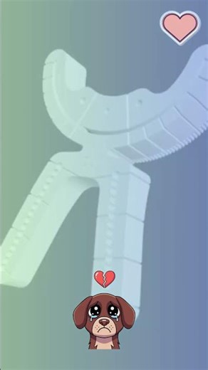 Ariel’s second surgery 2024 - Tibial Plateau Leveling Osteotomy TPLO — bone cut, plat...