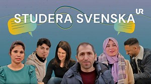 Studera svenska