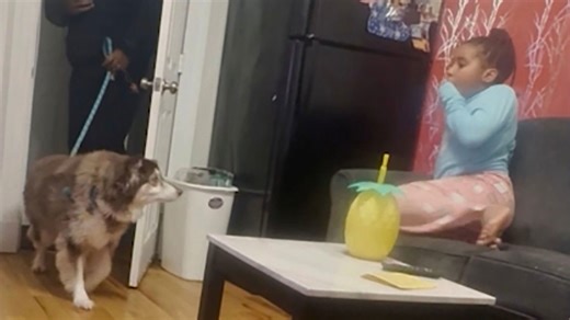 Dad surprises daughter by adopting late resident's dog from senior living job