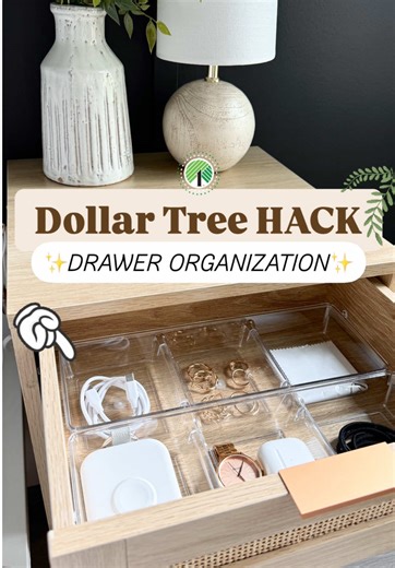 Creative Dollar Tree Drawer Organization Ideas