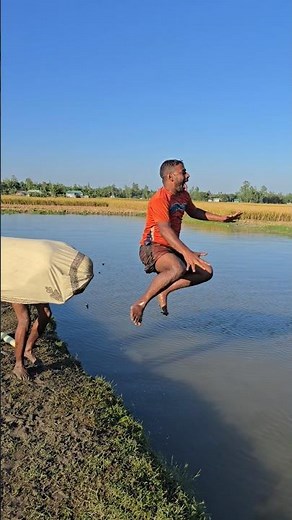 What did the cow do from behind?