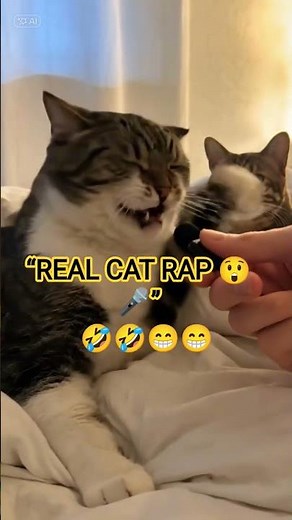 “This Cat Is Actually Rapping 🎤😺 | Real Meow Rap That Will Surprise You!” #mycat viral short video😁🤣