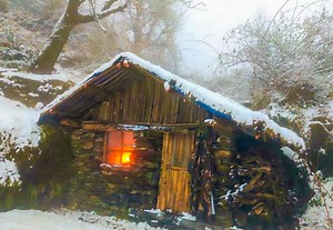 22K views · 284 reactions | Building a winter bushcraft survival shelter for 100 days of camping and extreme cold weather. | Bushcraft Survival Man | Facebook