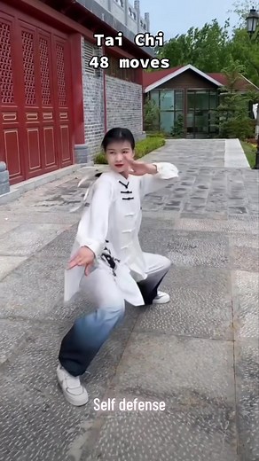 Mastering Tai Chi: Learn the 48 Essential Moves for Self Defense