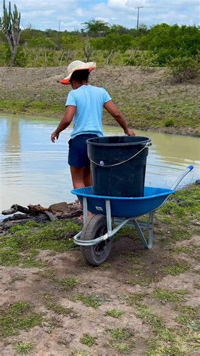 Instagram video by Josiele Santos • Dec 18, 2025 at 1:48 PM