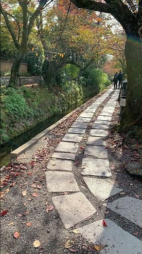 Kyoto, Japan: 😉 History, temples, and World Heritage Sites