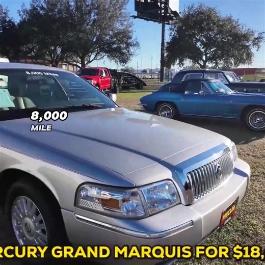 Doctor Pin (@doctor.pin)’s videos with original sound - Doctor Pin