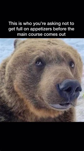 Middle Class Fancy on Instagram: "I can’t bear the wait"