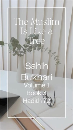 The Muslim Is Like a Tree | Sahih Bukhari Volume 1 Book 3: Knowledge Hadith 72
