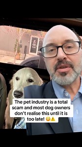Pet Health Tips & Care on Instagram: "DONT FALL FOR THE SCAM ⚠️❌ * * * #doghealth #petdog #dogowner #fyp #scam"