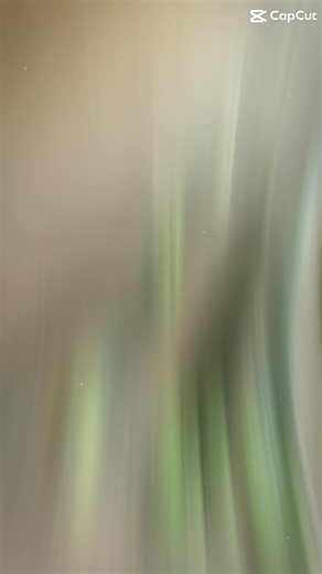 Video của 🥷🏿TRỊNH ĐỨC LÂM😝 (@bolatrinhduclamdzkaka) với bản nhạc nhạc nền - Nghiện diều sáo🪁🪁🪁🪁 - 🥷🏿TRỊNH ĐỨC LÂM😝