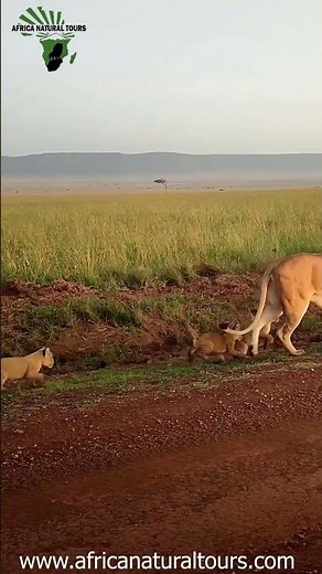 Tanzania Vacation package from Arusha and Moshi in 2023, 2024 and 2025