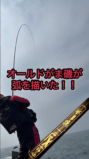 古いがまかつ竿が唸る‼️#がまかつ#磯釣り#糸島