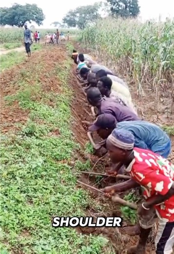 The African Work Method No One Talks About. #Work #Africa #ForYou #Viral #Facts