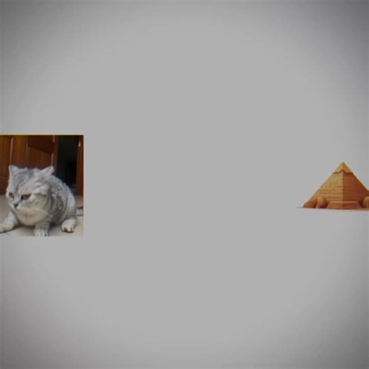 du won chua#catsoftiktok #vairal #catlovers #meow #xh