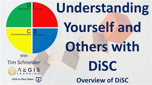 DiSC - An Overview of DiSC
