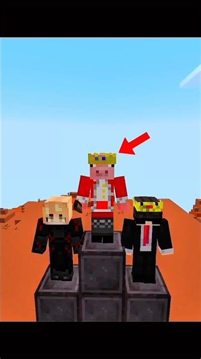 How Pro SMP Players Grind?