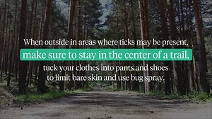 What you need to know about tick season