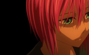 高清1080 魔法使的新娘OP