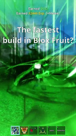 The Fastest Build in Blox Fruit #bloxfruit #bloxfruits #minkv4 #humanv4 #isekai_isekai