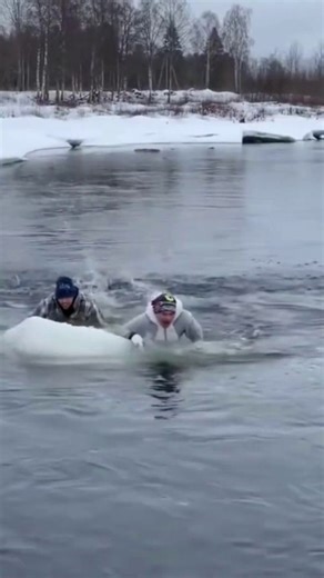 funniest and drole moments , compilation of videos