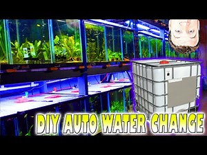 DIY Auto Water Change System: Avoid My Mistakes