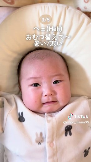 赤ちゃんの泣き声のトリセツ：5種類の解析