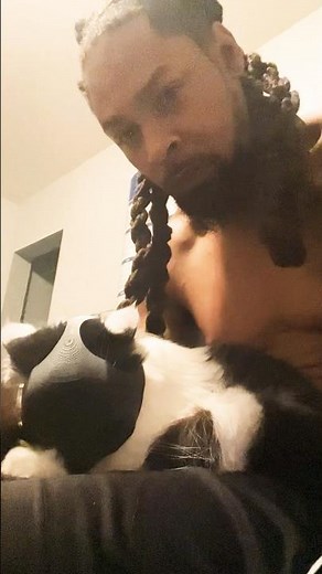 Cat transforms into Batman with 3D printed Batman mask! Perfect DIY for pet lovers & cosplay fans