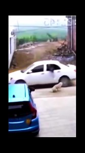 2.1K views · 64 reactions | Computer Assembly I Сборка компьютера on Reels | Facebook