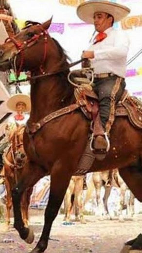 Conoce la historia de la #charreria en #mexico y el origen del #charro y la #escaramuza como parte los símbolos mexicanos más representativos del #folkloremexicano #charreada #jaripeos #ruedo #charromexicano #escaramuzacharra #jinetes #jinetesmexicanos #caballos #caballobayo #charros #charrosdeacero #charreadauniversitaria #charrosdejalisco #charrosdecorazon❤️ #charro #charrosunidos #charreadaperrona #charreadasuniversitarias #charreriamipasion #charreriamexicana #charreriaparatodos #charreriami