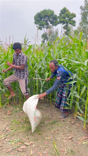 ki kore,#shortvideo to?#funny v