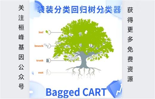 MachineLearning 20. 机器学习之袋装分类回归树(Bagged CART)