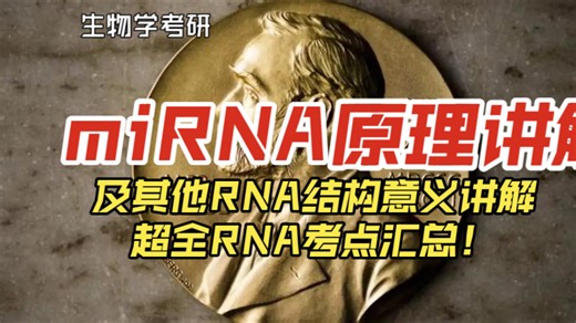 【生物考研】2024诺贝尔奖microRNA的机制原理应用考点讲解及其他RNA讲解大合集