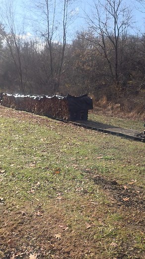 If your in need of firewood. I have 6 cords left. | Muzzy's Wood