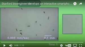 Smartphone microscope creates interactive tool for microbiology - UNAM Global