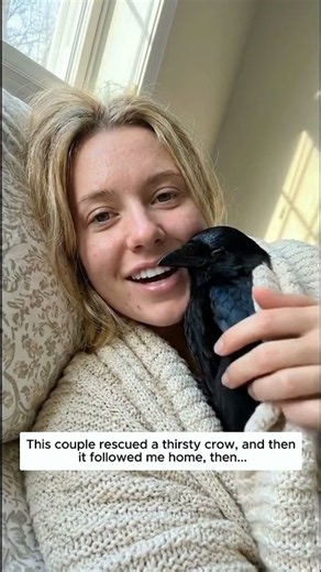 This couple rescued a thirsty crow, and then it followed me home.