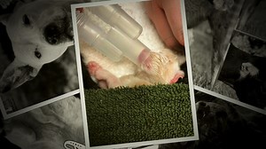 67 reactions · 29 shares | Krecklow Films and AR Photography put...