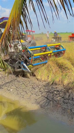 nay lên 3cay chiến#kubota #kubota105xบ้าพลัง #xuhuongtiktok #kubota105x