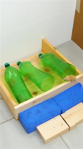 980K views · 6.7K reactions | Useful hacks to keep mice out of your home! 者 | 5-Minute Crafts | Facebook