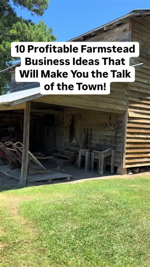 10 Profitable Farmstead Business Ideas That Will Make You the Talk of the Town! #Farmstead #SustainableFarming #AgriBusiness #LocalHarvest #farmtotable