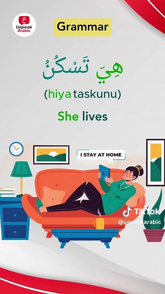 Master Arabic Verbs | Verb Conjugation in Arabic #arabic #arabiclanguage #learnarabic #speakarabic Learn how Arabic verbs change depending on the subject pronoun! Master verb conjugation in Arabic for I, you, he, she, we, and they. Perfect for beginners! Verb Conjugation in Arabic Made Easy! #LearningArabic #SpeakArabic#speakingArabic #studyingarabicc #StudyArabic #spokenarabic #Arabic #ArabicLanguage #ArabicForBeginners #EasyArabic #ArabicLessons #Learningarabic #ArabicVocabulary #ArabicGrammar