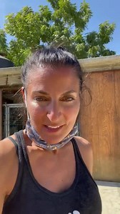 1.6K views · 56 reactions | Rescue Partner Alert! 李 We met with a...