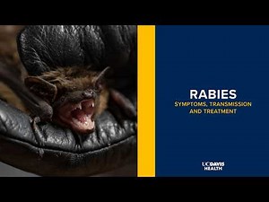 Rabies Explained: Symptoms, Transmission and Treatment | UC Davis Health