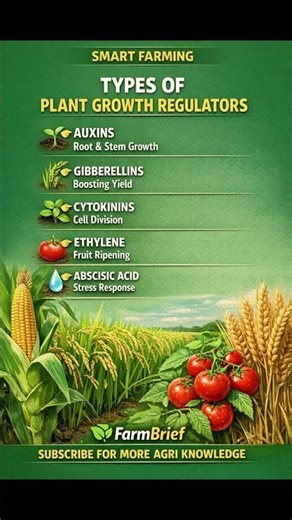 Types of Plant Growth Regulators in Crops 🌱 #shorts