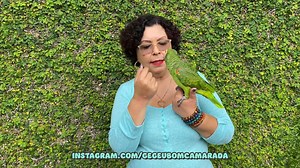 Como cuidar e observar o aspecto e aparêcia dos bicos de suas aves, e quando é necessario interferência veterinária. O bico é uma parte sensitiva do animal, você sabia? 💚 Apoie nosso canal: inscreva-se e curta os vídeos. 👍 🎁 Minha loja: https://loja.projeteria.com/collections/ageu 🦜 Mais do @GegeuBomCamarada : https://www.youtube.com/gegeubomcamarada https://www.instagram.com/gegeubomcamarada https://www.facebook.com/gegeubomcamarada https://www.tiktok.com/@gegeubomcamarada 💌 Caixa Postal 1