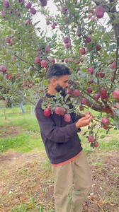 2.8K reactions · 150 shares | Phone number 9103203450 | Kvf Kulgam | Facebook