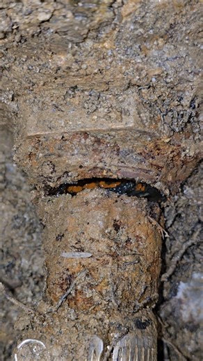 Pitless adapter changed out #well