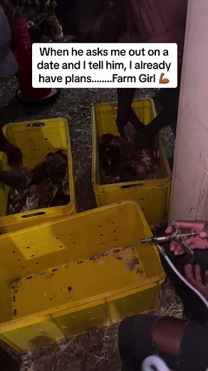 Farm Girl (@farm_girl_zim)’s videos with original sound - Farm Girl