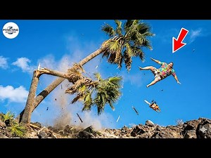 Idiots With Chainsaws: Tree Cutting Fails | Extreme Dangerous Logging Truck Fails #15
