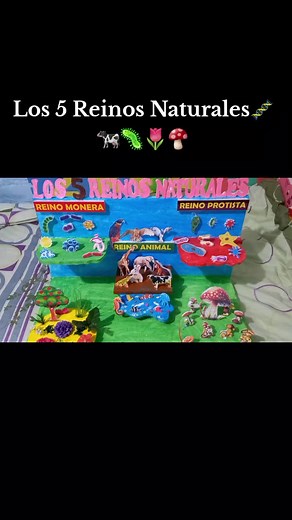 Maquetas de los 5 reinos naturales para niños de primaria